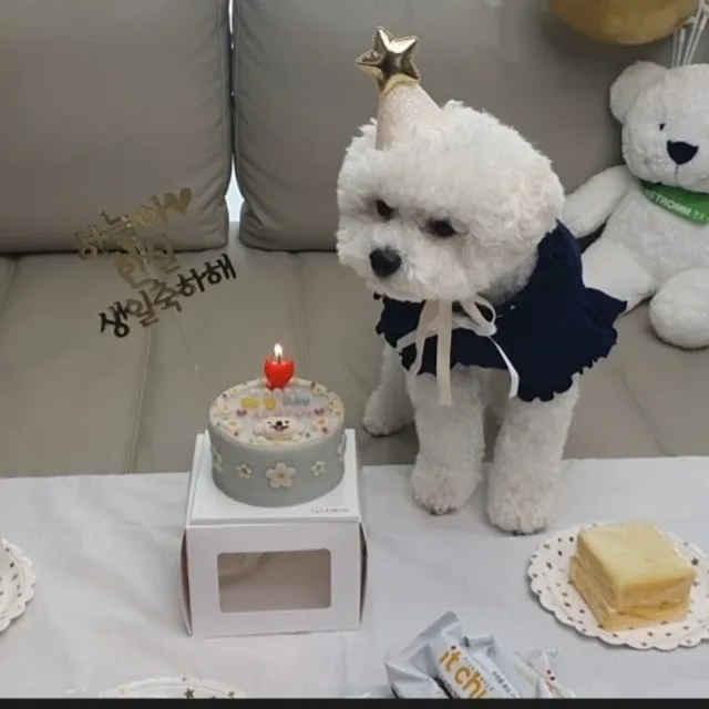 세르비아