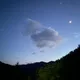 다이너스트