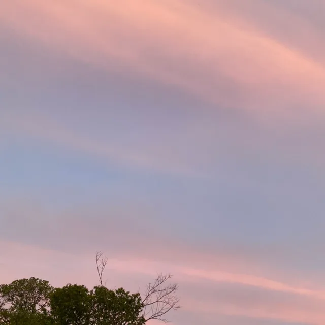 오레옹