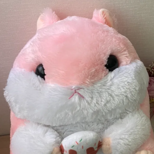 뽀송이네언니