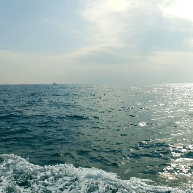 초밥