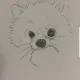 찰떡이
