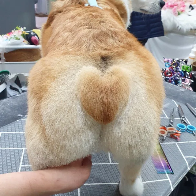 용용맘