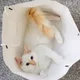 조여사