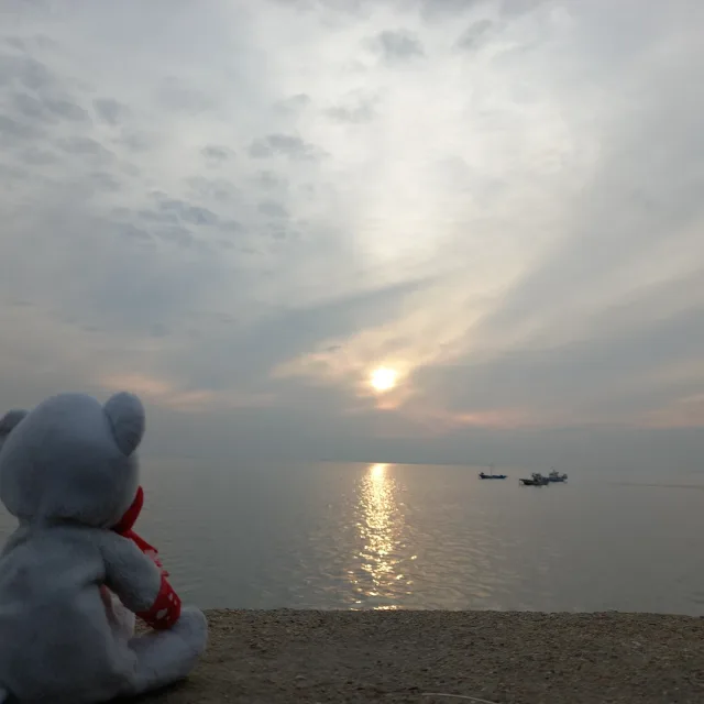 펭귄