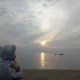 펭귄