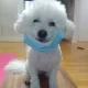 밀룽이
