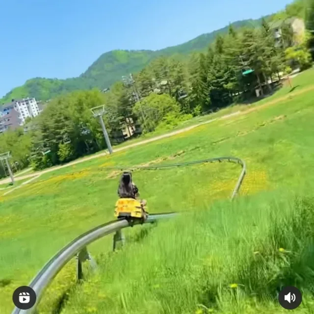 데이지