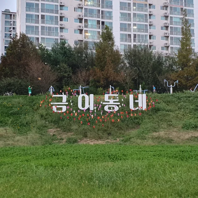당근하죠