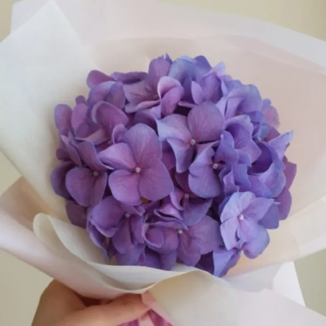 당근쟁이쩡