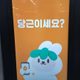 교로로