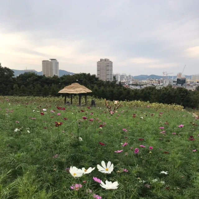 당근맛있당