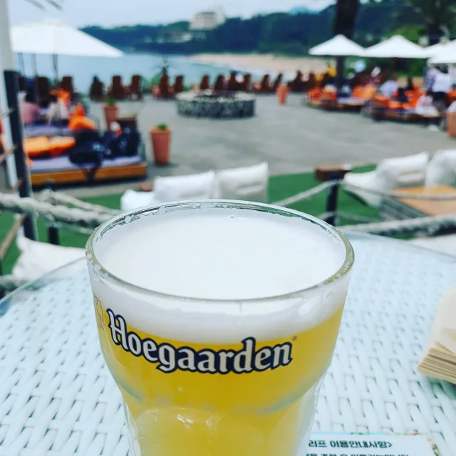 제니맘