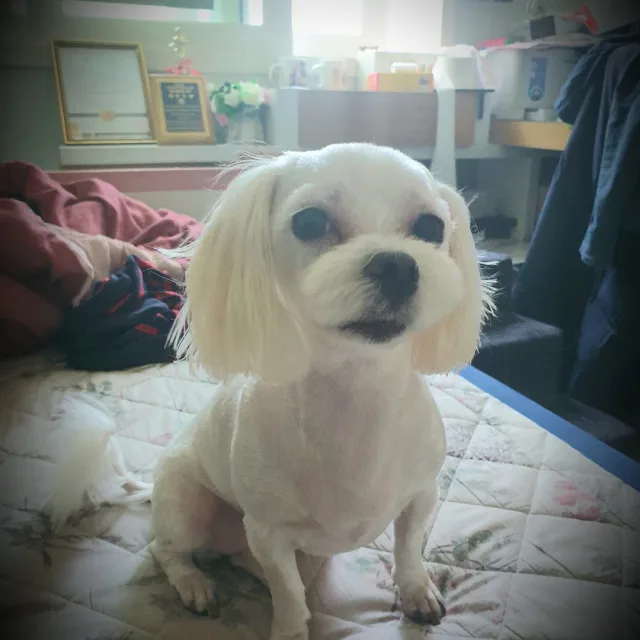 혀니벼리맘