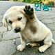원두막