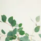 달콤n새콤