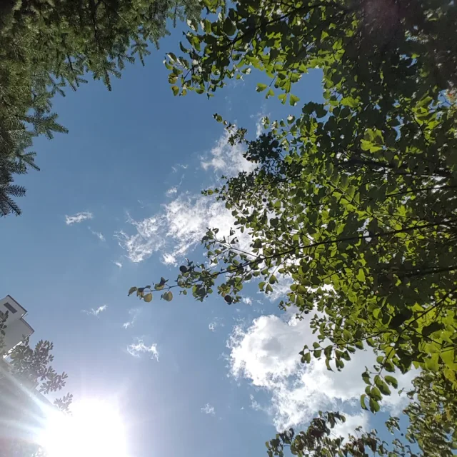 요맘때