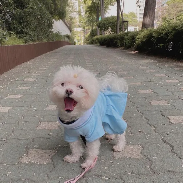 빼엑