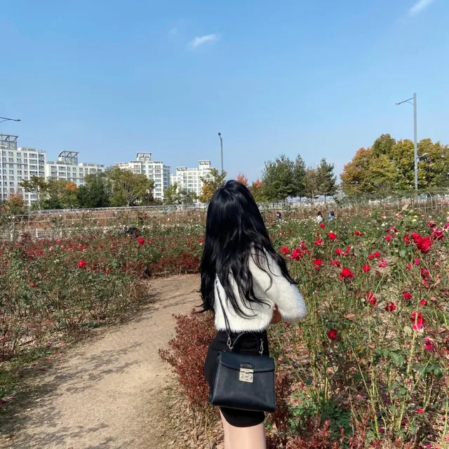 콩콩콩