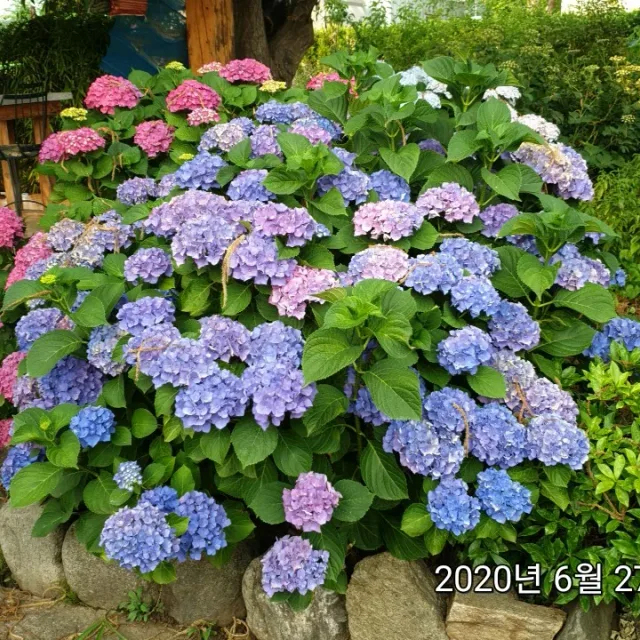 싸가지악녀