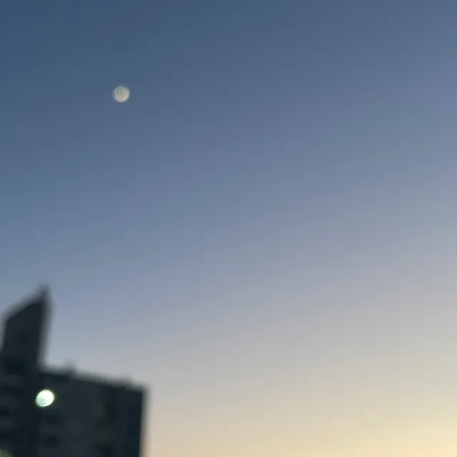 랴용