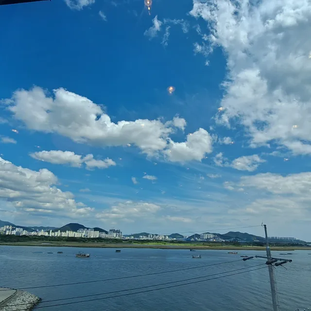 롯데ya