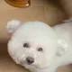 키리