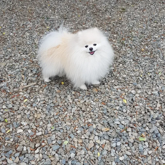 소운
