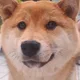 공공칠공공