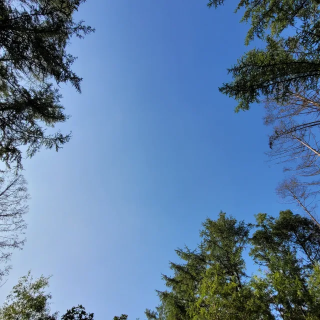 준희파파