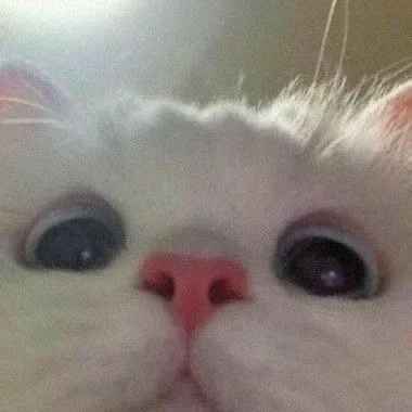 긍또