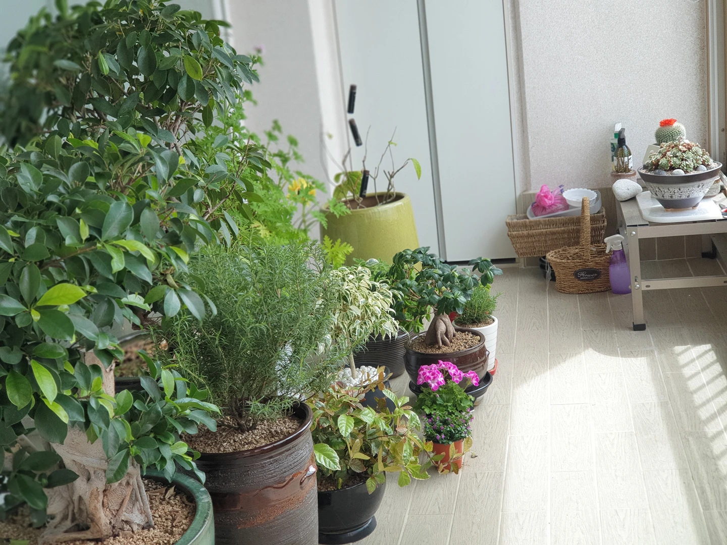 유리할