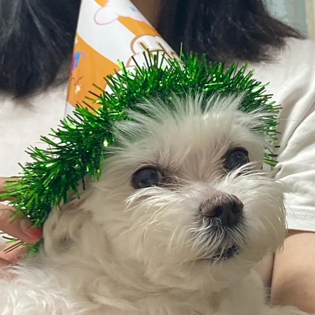 한또리