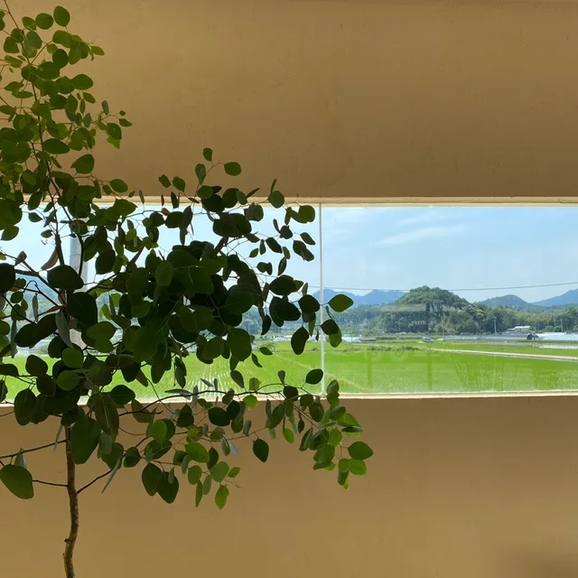오이마켓