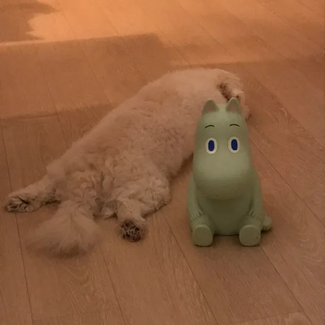 기똥차유