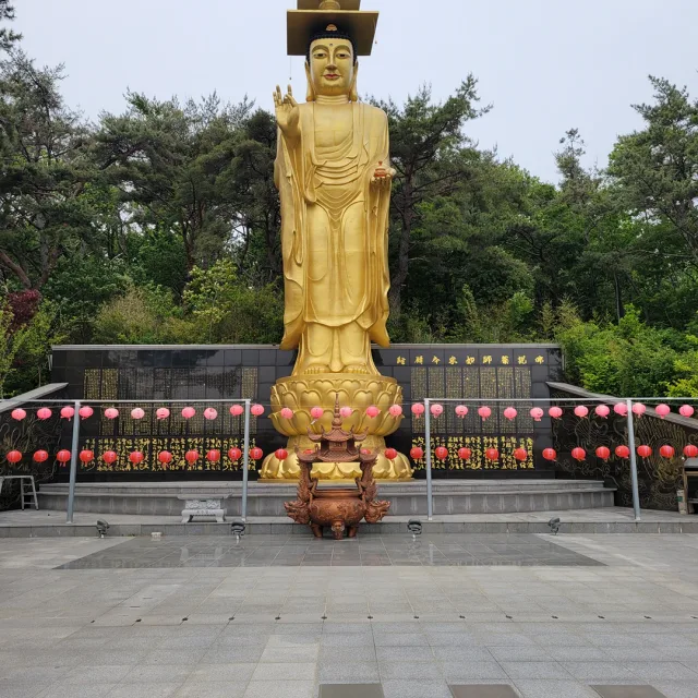 돼지우리