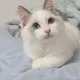 봄이