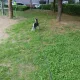 팜니당당당