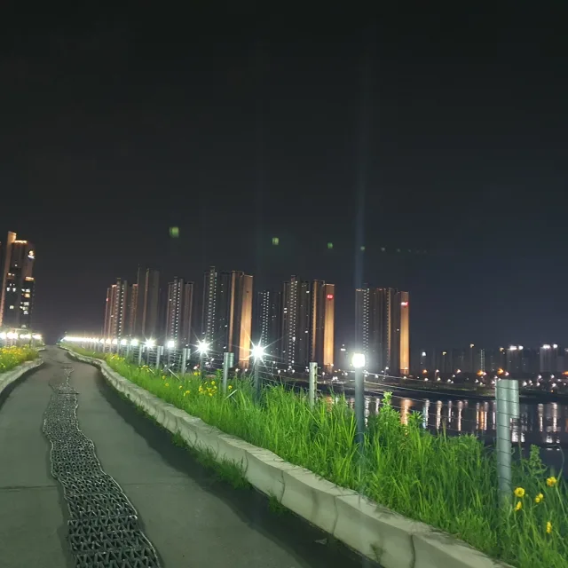 초록강