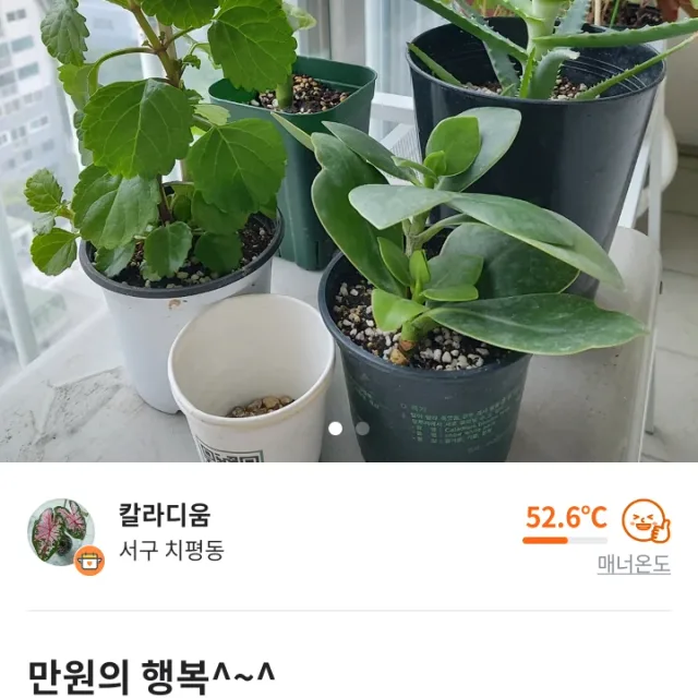 민이다