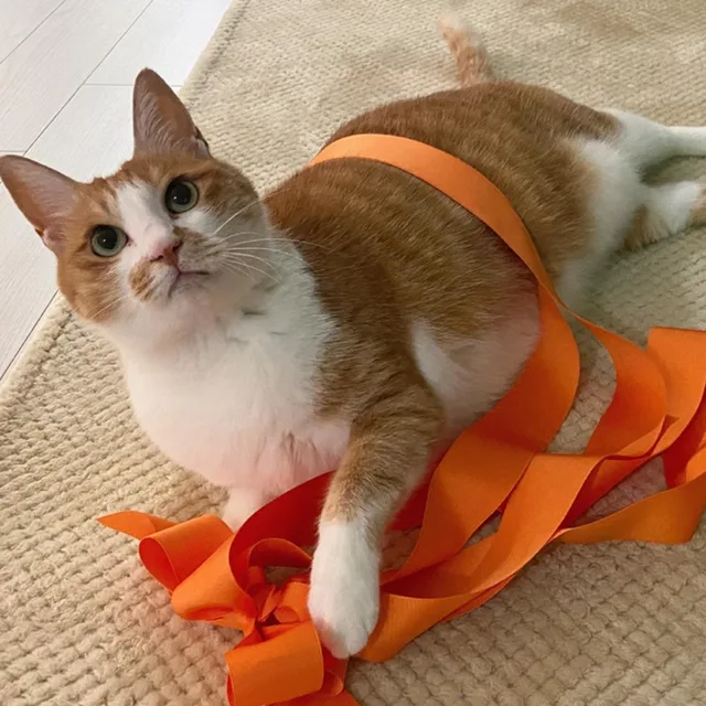 혜깡