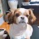 김김포