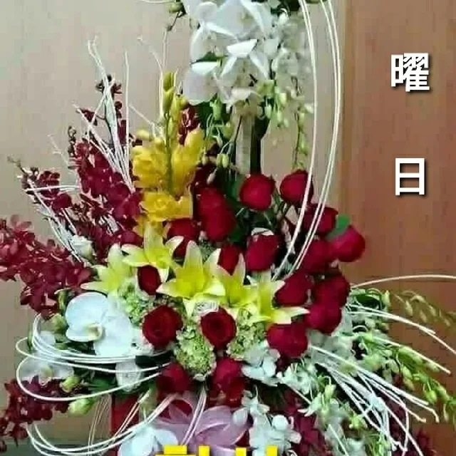 아마돌