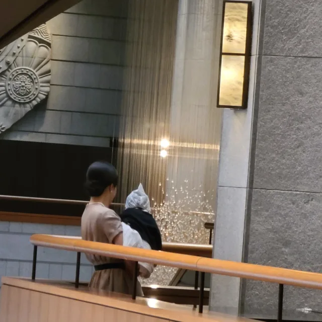 알파댁