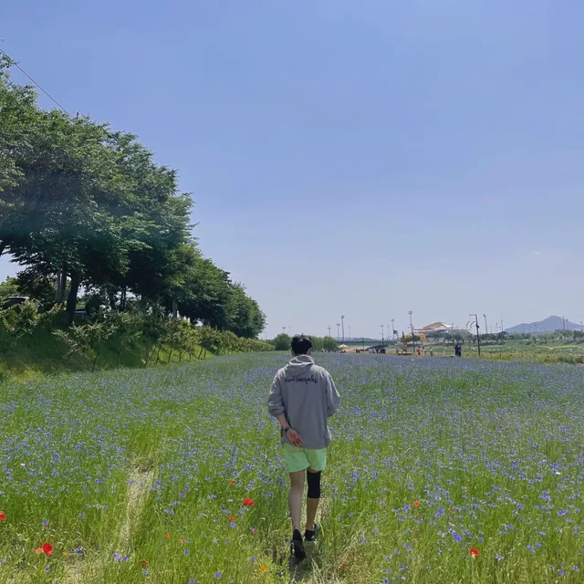홀든콜필드