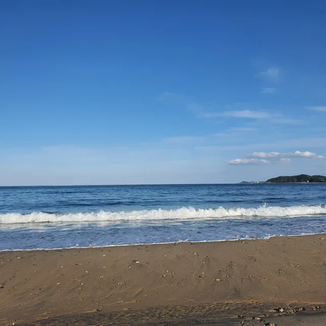 진사운