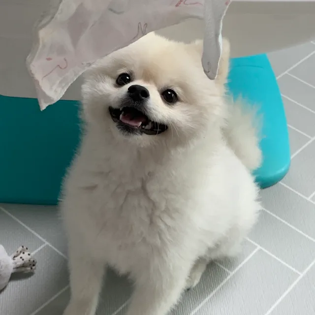 냄쿵