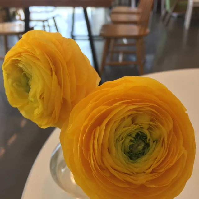 마음가는대로