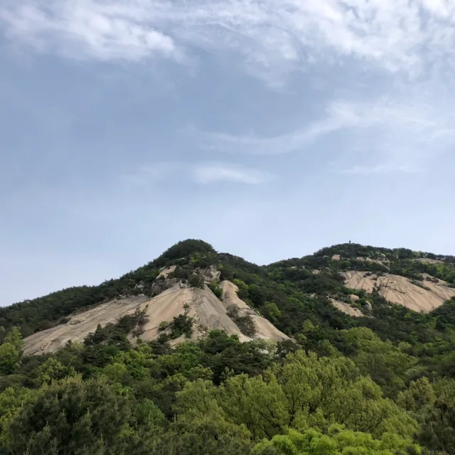소담