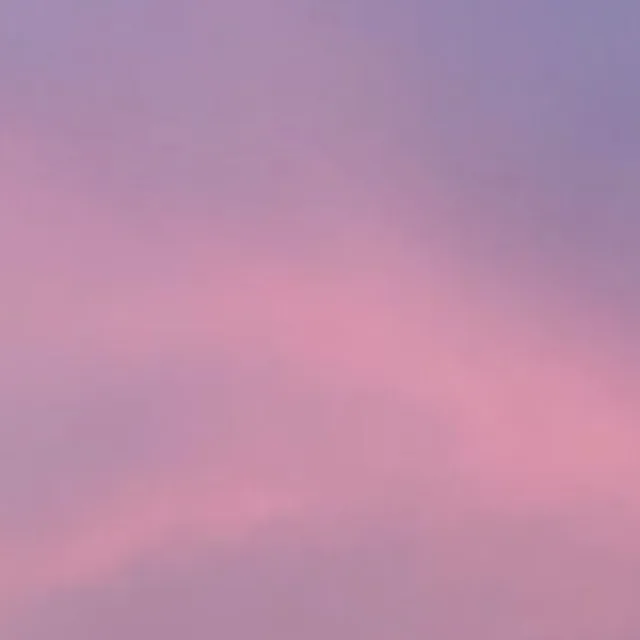 당근이지